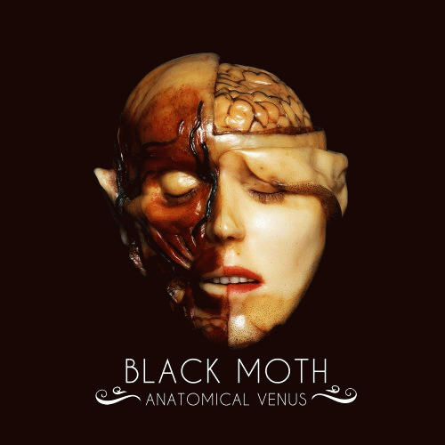 Black Moth : Anatomical Venus